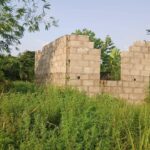 480534654_1157772616074828_6706291002569594839_n