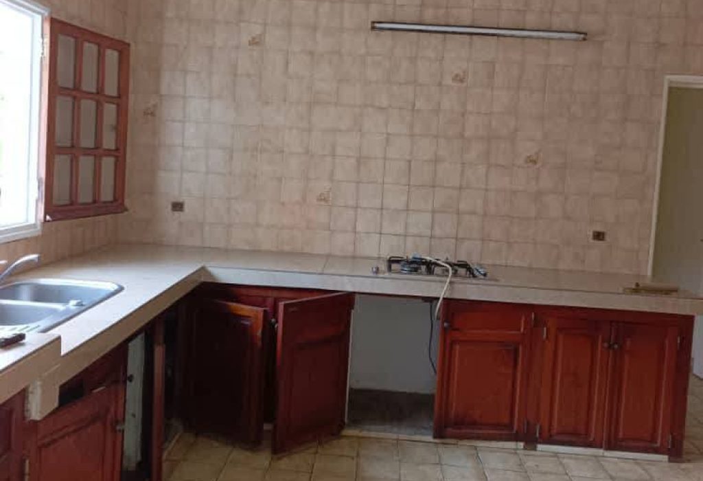 474539254_122224580450083054_6366353697719787155_n