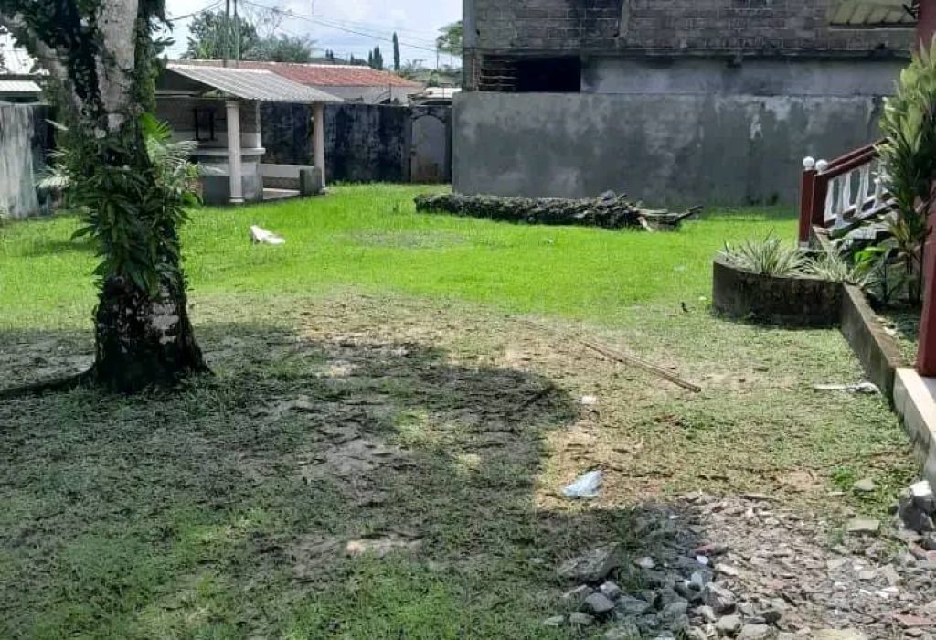 479294261_1323174722168856_2235259239255972966_n