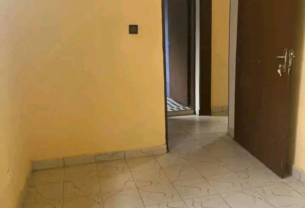 480533225_122176598588356754_2371933736941590859_n