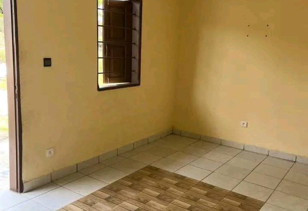 480653040_122176598348356754_6929816888140076255_n