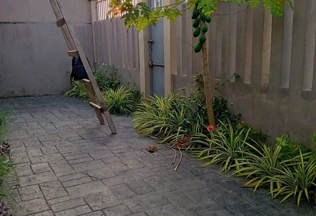 480754050_1185534050218937_3731105833415302735_n