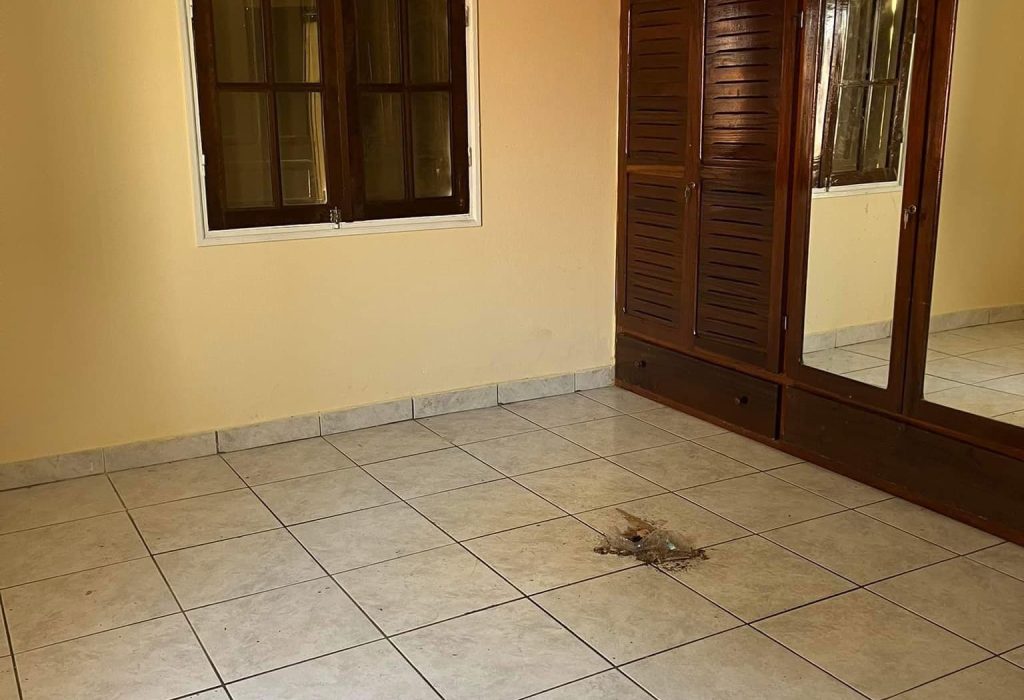 481191642_1951931188664727_3242325461148818450_n