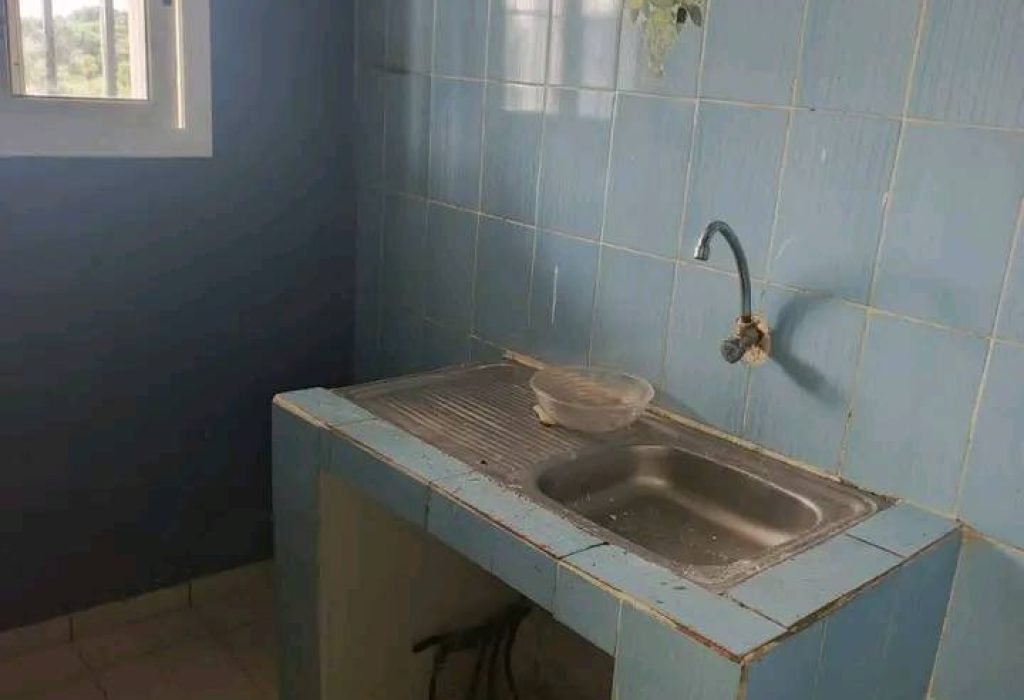 481444105_618977547657056_4070110360536369458_n